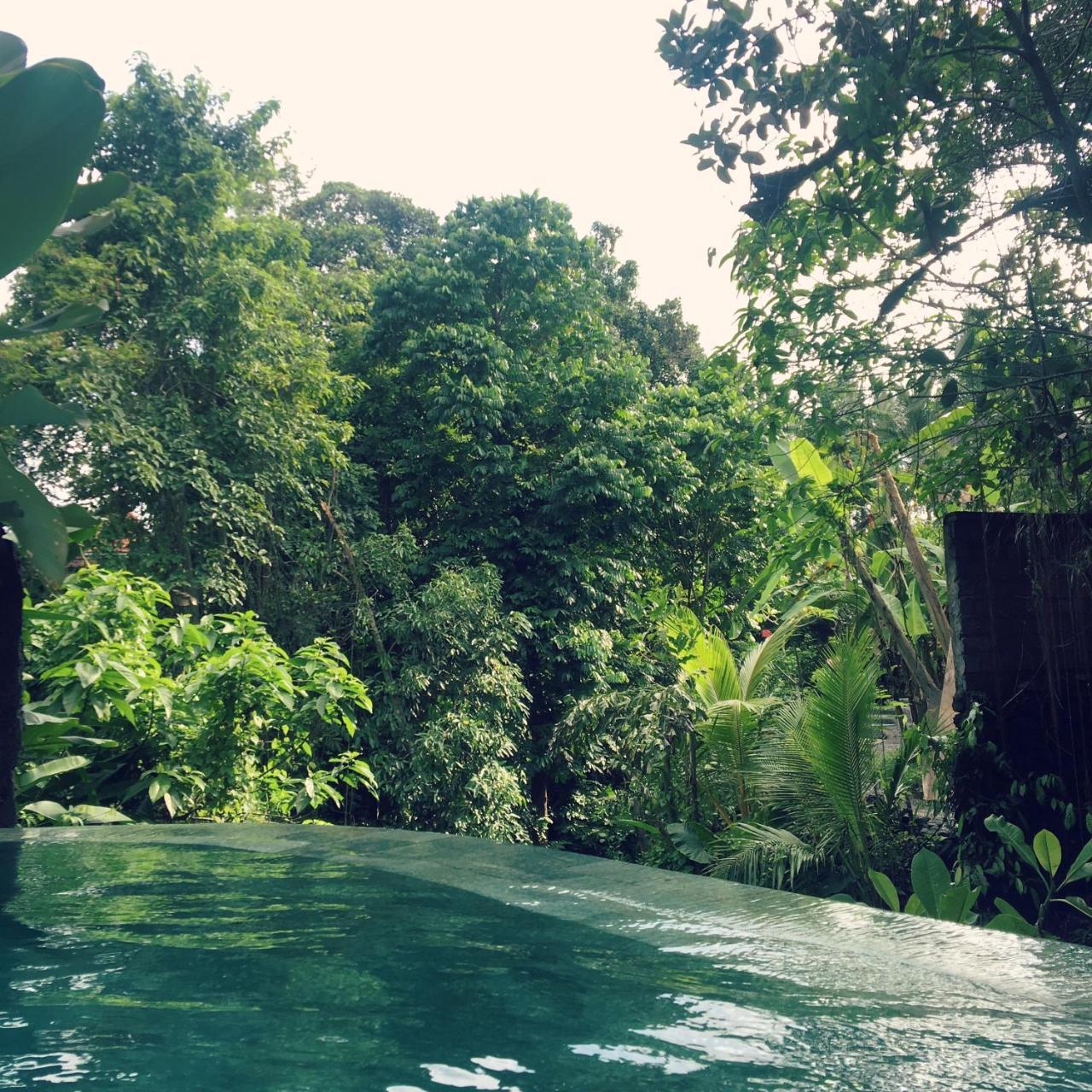 Raka Rai Bungalows Ubud Exterior foto